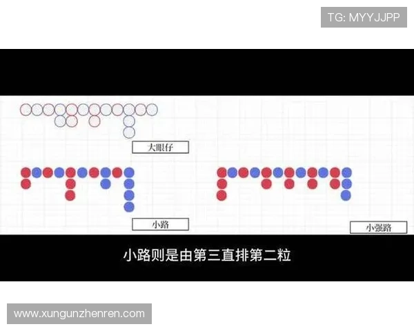 新手必看百家乐小路纸的基础知识及常见误区,快速入门提升游戏体验